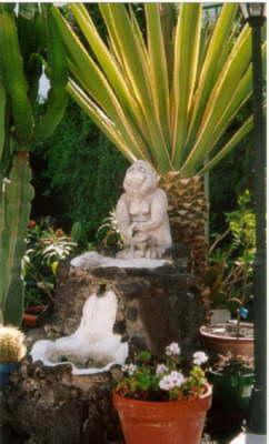 San Francisco Park (Adults Only) Apartment Puerto del Carmen  Bagian luar foto